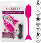 Calexotics Rechargeable Kegel (716770099082)