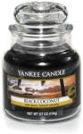 Yankee Candle Black Coconut 104 g