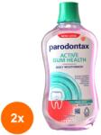 Parodontax Set 2 x Apa Gura Parodontax Daily Gum Care Fresh Mint 500 ml (ROC-2xMAG1015961TS)