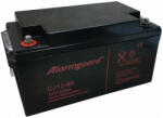 Alarmguard CJ12-65 12V 65Ah zárt ólomsavas akkumulátor (Alarmguard-CJ12-65)