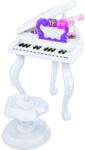  Orga de jucarie pentru copii cu microfon si scaunel inclus, 25 clape (NBN000J93-01) Instrument muzical de jucarie