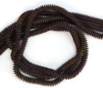  Hematit Mat Colorat Violet Disc 1x5 mm - Margele Pietre Semipretioase pentru Bijuterii
