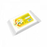 Wet Wipe Nedves tisztító és toalettkendő aloe vera kivonattal Silky 36 darabos, wc-be dobható (SNTT36)