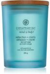 Chesapeake Bay Mind & Body Reflection & Clarity 250 g