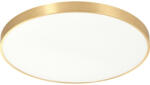 Zuma Line Sierra LED ZU-CL12100009-GD led mennyezeti lámpa (CL12100009-GD)