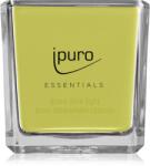 ipuro Essentials Lime Light lumânare parfumată 125 g