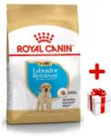 Royal Canin ROYAL CANIN Labrador Retriever Puppy 12kg + MEGLEPETÉS A KUTYÁDNAK