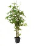 EUROPALMS Bambusz fekete törzs mesterséges növény 240cm (82509247)