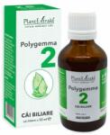 PlantExtrakt Polygemma 2 - Cai Biliare, 50 ml