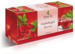 Mecsek Tea csipkebogyó tea - 25 filter - vitaminbolt - 1 000 Ft