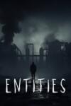 EY-Studio Entities (PC)
