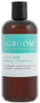 iGroom All-In-One Sampon+Kondi 473 ml (41IGR031)