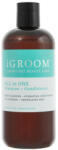 iGroom All-In-One Shampon+Kondi 473 ml (41IGR031)