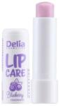 Delia Cosmetics Balsam de Buze Delia, Afine, 4.9 g