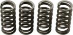 TRW Set arc ambreiaj TRW MEF135-4 (MEF135-4)