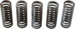 TRW Set arc ambreiaj TRW MEF314-5 (MEF314-5)