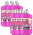 Coccolino Washing Concentrate Tiare Flower & Red Fruits 384 wash 6x1600ml (8720181409783)