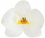 Gyertyakovács 10 db fehér orchidea ostyavirág
