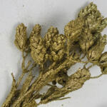  Csillámos komló csokor arany 2db/csomag - kosarbolt