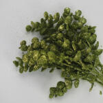  Csillámos eukaliptusz csokor zöld - kosarbolt