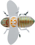 Jackall Bug Dog / Uka Cicada felszíni wobbler
