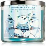 Bath & Body Works Snowflakes & Citrus 411 g