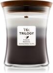 WoodWick Trilogy Warm Woods lumânare parfumată cu fitil din lemn 275 g