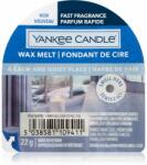 Yankee Candle A Calm & Quiet Place ceară pentru aromatizator 22 g