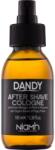 DANDY After Shave after shave 100 ml