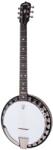 Deering Boston 6 String Banjo