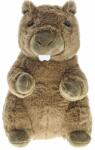 MIKRO Pluș de marmotă 25 cm (MI93999)