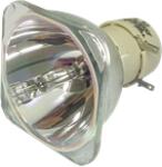 Philips-uhp 270/220W 1.0 E20.9 lampă originală fără modul (UHP 270/220W 1.0 E20.9)