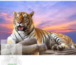 Számfestő 50X65 Cm Színpompás "Majestic Tiger" Keret Nélküli (K52671-32045)