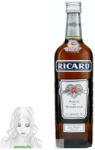 Pernod Ricard Pastis 0, 7L (VBAL1L1180)