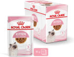 Royal Canin Kitten Gravy - Kölyök macska szószos nedves táp (24 x 85 g) 2.04 kg