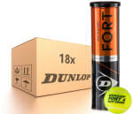 Dunlop Fort Clay Court 1Karton (18 cső)