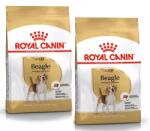 Royal Canin Beagle Adult 2x12kg -3% olcsóbb készletben