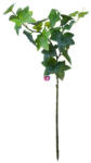 D&D Selyemvirág szőlőág 78 cm zöld (DD61296)
