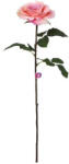 D&D Selyemvirág kerti rózsa szálas 67 cm rózsaszín (DD61270)