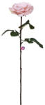 D&D Selyemvirág kerti rózsa szálas 67 cm barack (DD61273)