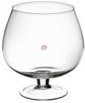D&D Pohár Cognac üveg 21x19 cm átlátszó (AL-21-09)