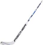 Fischer Sports GW250 Senior Fa kapus hokiütő L (Regular)