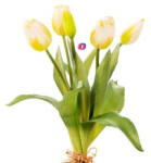 D&D Selyemvirág , Gumi Tulipán csokor műanyag 35cm fehér (A2397303)