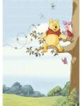 Sunny Decor Fototapet hârtie SD4116 Disney Edition 4 Disney Winnie Pooh Tree 184x254 cm (SD4116)