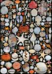 Piatnik - Puzzle Shells - 1 000 piese