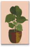  Gyémántszemes festmény - Boho növény vázában 2 Méret: 40x60cm, Keretezés: Műanyagtáblával, Gyémántok: Kerek