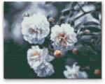  Gyémántszemes festmény - Virágzó fehér rózsák Méret: 40x50cm, Keretezés: Műanyagtáblával, Gyémántok: Kerek