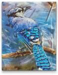  Gyémántszemes festmény - Kék szajkó Méret: 30x40cm, Keretezés: Keret nélkül (csak a vászon), Gyémántok: Kerek