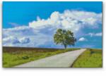  Gyémántszemes festmény - Elhagyatott fa Méret: 40x60cm, Keretezés: Keret nélkül (csak a vászon), Gyémántok: Négyzet alakú