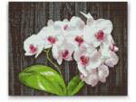  Gyémántszemes festmény - Fehér orchidea Méret: 40x50cm, Keretezés: Keret nélkül (csak a vászon), Gyémántok: Kerek